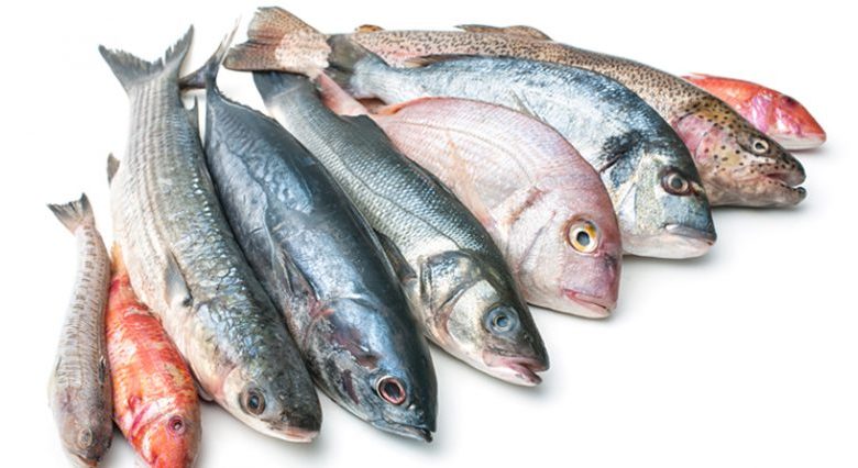 健康吃魚