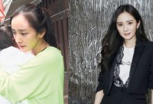楊冪離婚