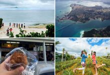 達人引路「沖繩北部」十選私房景點、美食推薦
