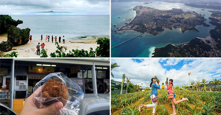 達人引路「沖繩北部」十選私房景點、美食推薦