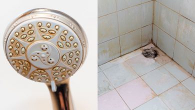 浴廁清潔妙招，讓髒兮兮排水口、馬桶、水龍頭變亮晶晶！