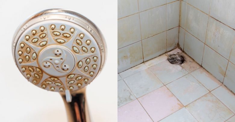 浴廁清潔妙招，讓髒兮兮排水口、馬桶、水龍頭變亮晶晶！