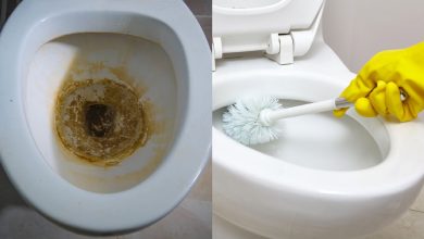 靠「 這個」解決馬桶黃垢和浴室發霉，有效去除馬桶圈狀汙垢