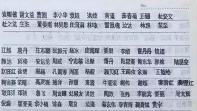 自閉少年卻寫出一手絕美「印刷體」，獲得700萬人讚賞！