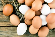 雞蛋尖頭朝下擺能保鮮？吃蛋小知識避免吃壞蛋