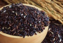 黑米、黑糯米和紫米，到底有何不同？都是同一種米嗎？