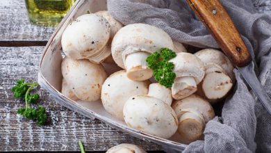 新加坡研究結果，每週吃2次以上的蘑菇能降低輕度認知障礙的風險