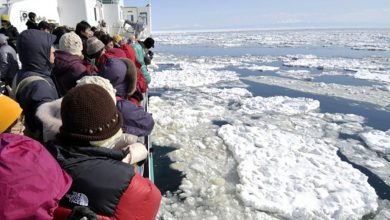 冬季北海道流冰怎麼玩？破冰船體驗、景點推薦懶人包