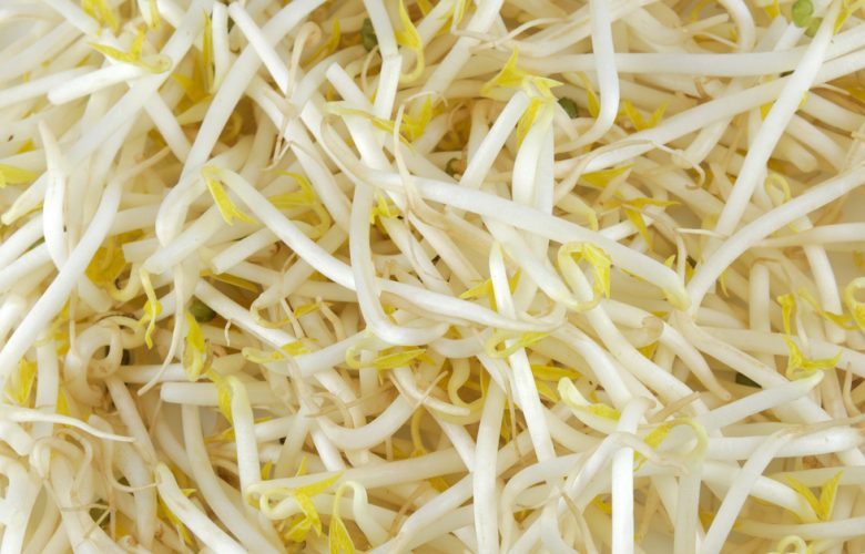 蔬果在冰箱可保存多久？豆芽菜怎麼處理？