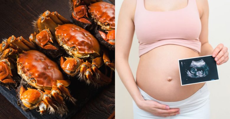 螃蟹寒涼易滑胎，孕婦少吃為妙？吳明珠醫師提醒這樣吃最好！