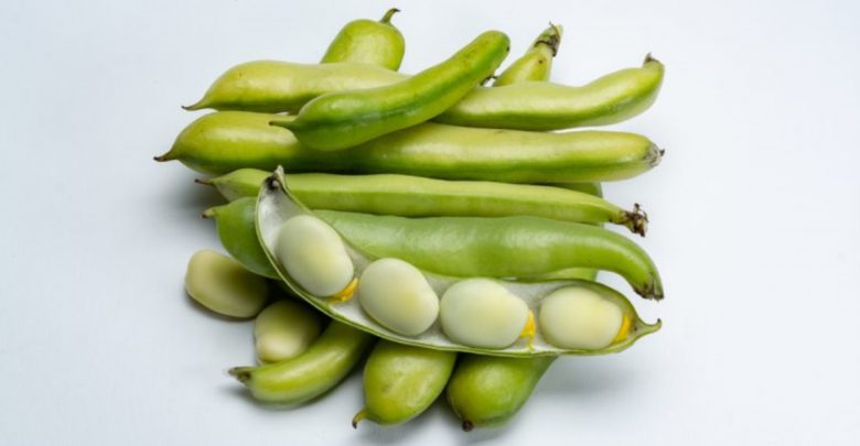 來勢兇猛的蠶豆症四大禁忌，避免接觸發病昏迷休克！