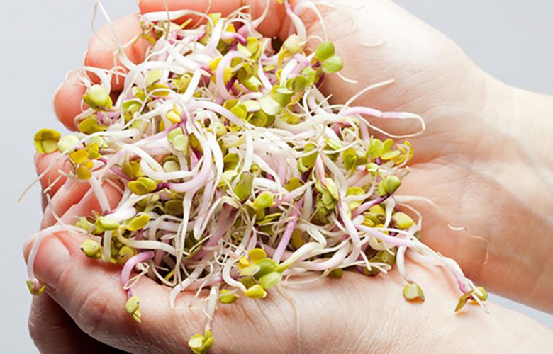 最佳芽菜清洗法，掌握泡沖漂三秘訣