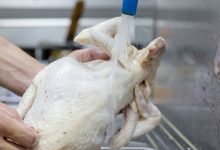 料理雞肉前你會用清水沖洗嗎？當心，清洗生雞肉恐污染你的廚房！