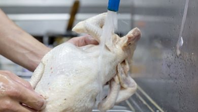 料理雞肉前你會用清水沖洗嗎？當心，清洗生雞肉恐污染你的廚房！