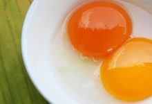 雞蛋「蛋黃越紅，越營養」？蛋殼或蛋黃的顏色對營養價值的差異？