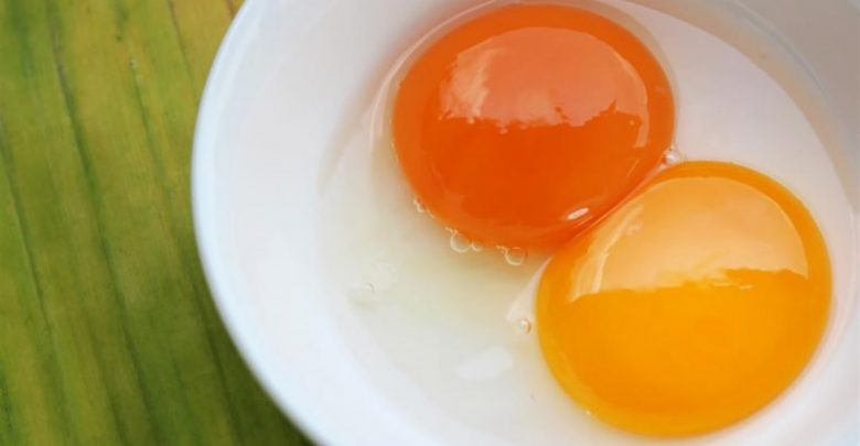 雞蛋「蛋黃越紅，越營養」？蛋殼或蛋黃的顏色對營養價值的差異？
